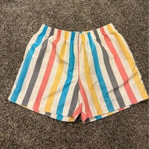 Chubbies Multicolor Striped Swim Shorts